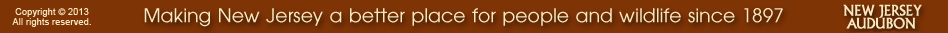 2013_footer