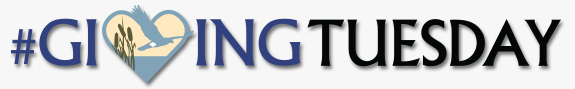 Giving Tuesday